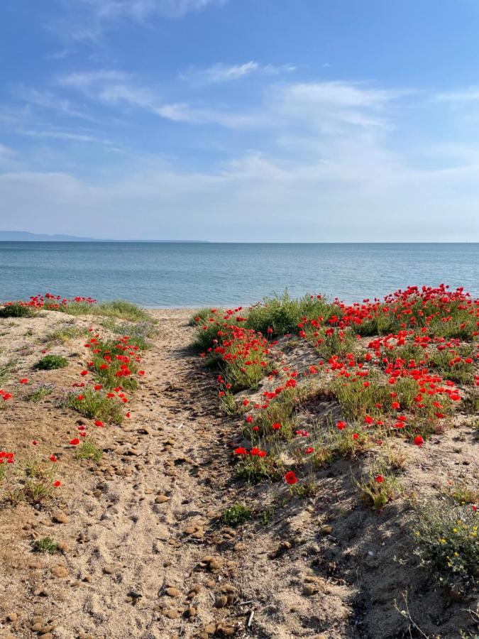 B&B Tre - Rooms & Relax Oristano Zewnętrze zdjęcie